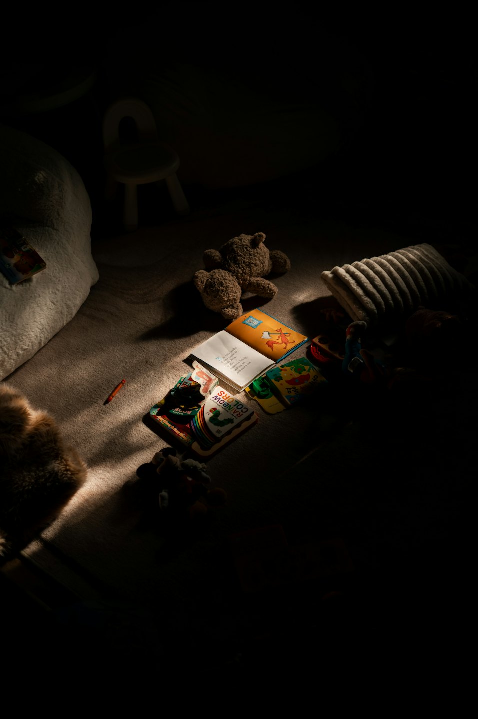 Children's books and toys scattered on a carpeted floor.